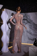 Load image into Gallery viewer, Alonzo Rhinestone Fringe Mesh Maxi Dress

