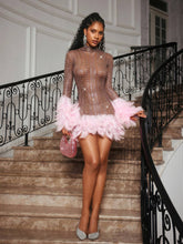 Load image into Gallery viewer, Braylene Rhinestone Feather Trimmed Mini Dress
