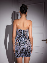 Load image into Gallery viewer, Eunice Printed Acrylic Mesh Mini Dress
