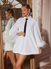 Load image into Gallery viewer, Hajar Folded Collar Feather Mini Dress
