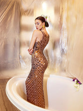 Load image into Gallery viewer, Luka Acrylic Embellished Mesh Maxi Dress
