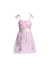 Load image into Gallery viewer, Philip Lace Up Embroidered Mini Dress
