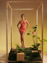 Load image into Gallery viewer, Sacha Spaghetti Floral Embroidered Mini Dress

